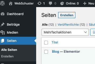 Anleitung Linktree Alternative Landingpage Website mit Elementor in WordPress